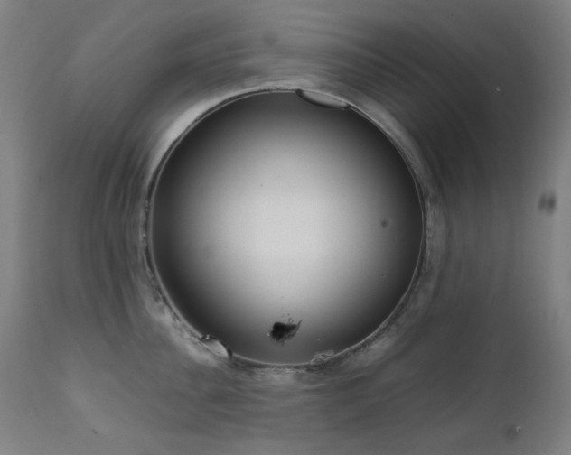 X0000111920956200907271246