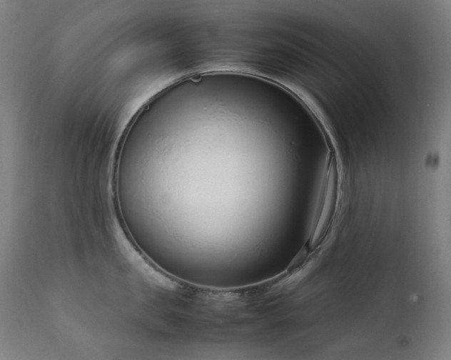 X0000111920957200907271246