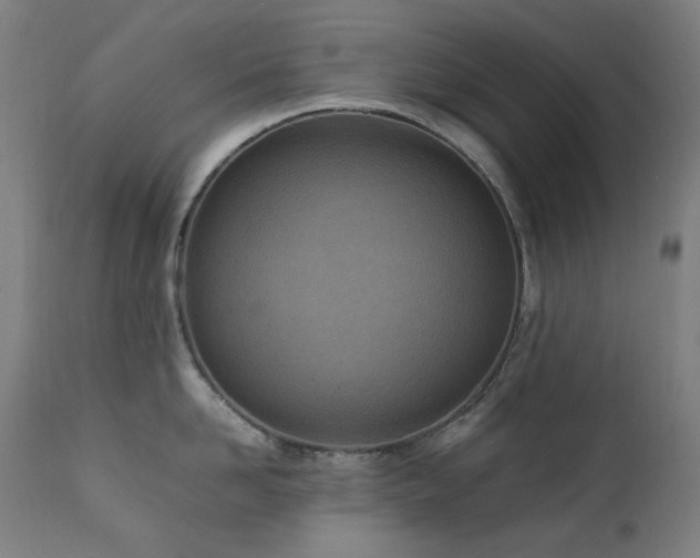 X0000111920958200907271246
