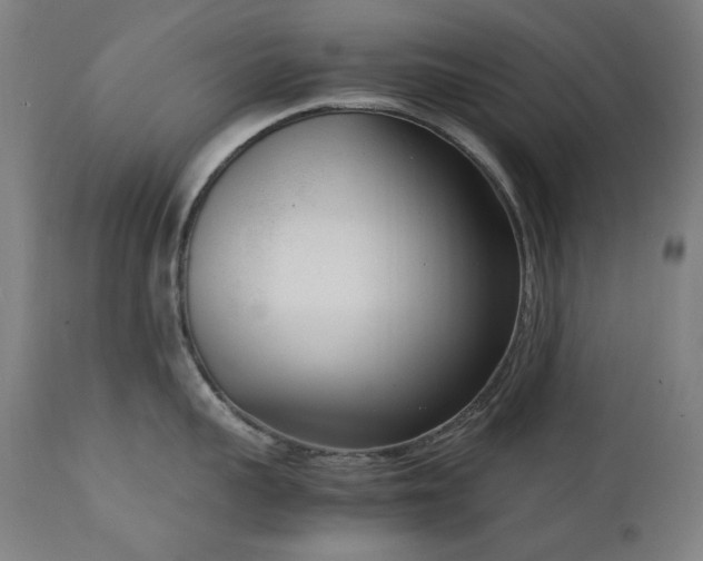 X0000111920959200907271246
