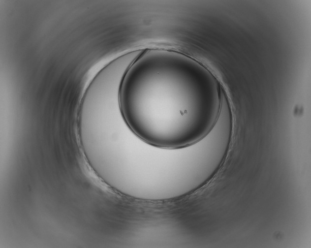 X0000111920960200907271246