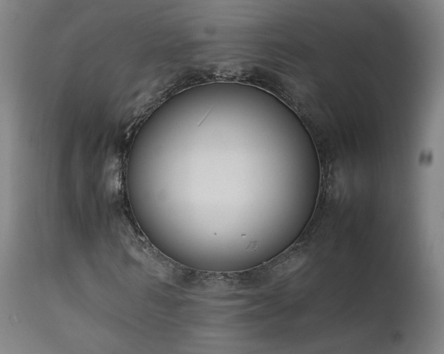 X0000111920962200907271245