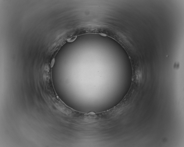 X0000111920964200907271245