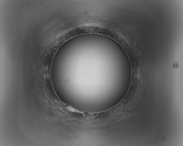 X0000111920965200907271245
