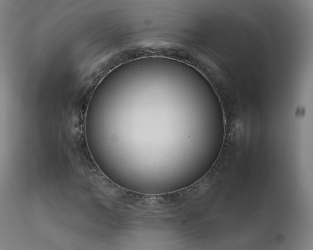 X0000111920966200907271245