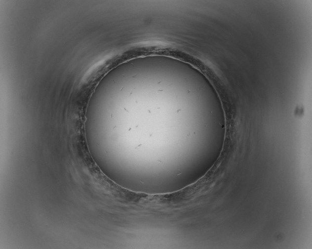 X0000111920967200907271245