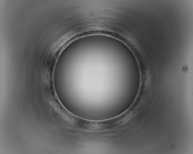 X0000111920969200907271245