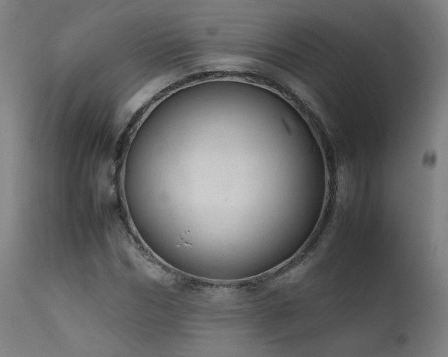 X0000111920970200907271245