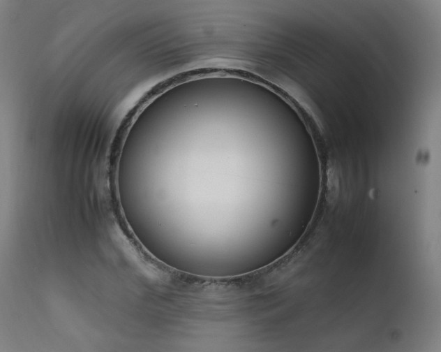 X0000111920972200907271245