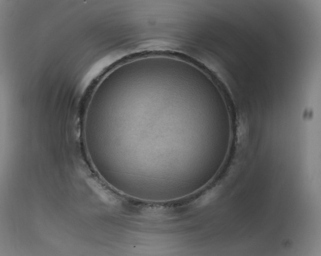 X0000111920973200907271245
