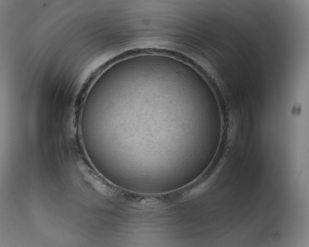 X0000111920974200907271245