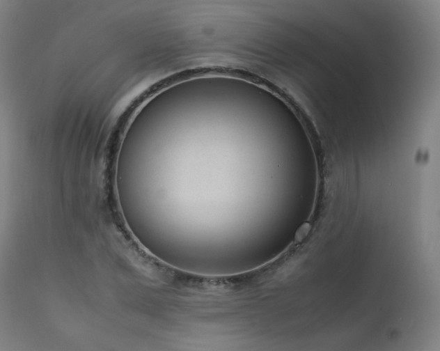 X0000111920975200907271245