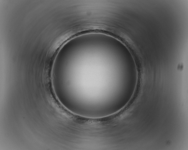 X0000111920977200907271245