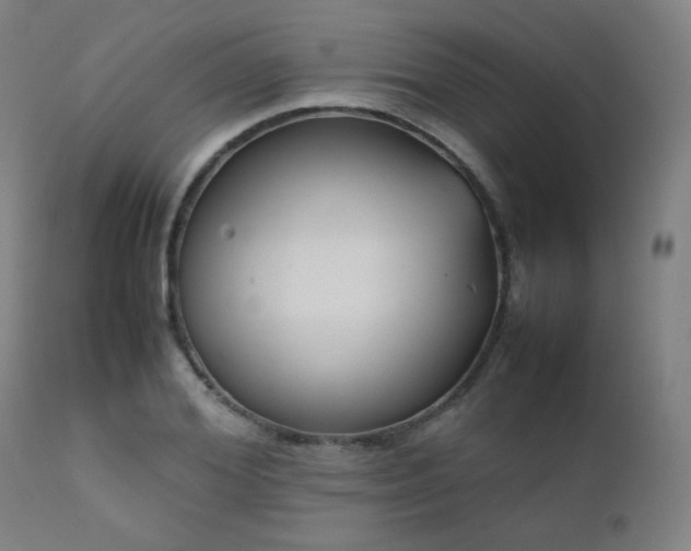X0000111920980200907271245