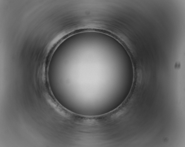 X0000111920982200907271245