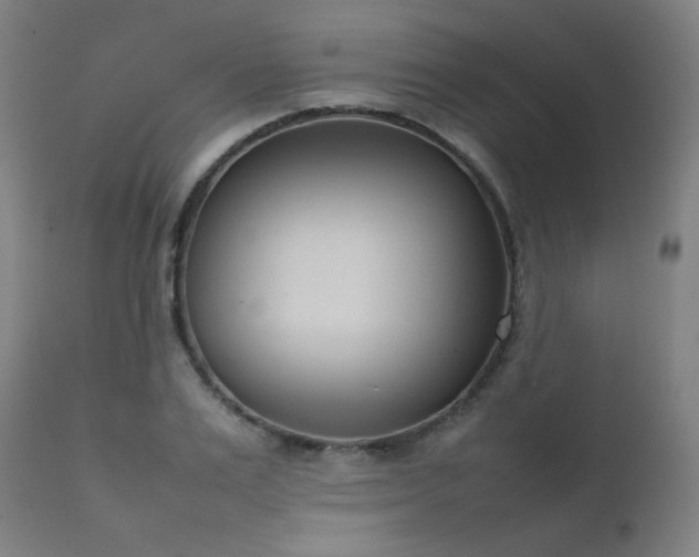 X0000111920983200907271245