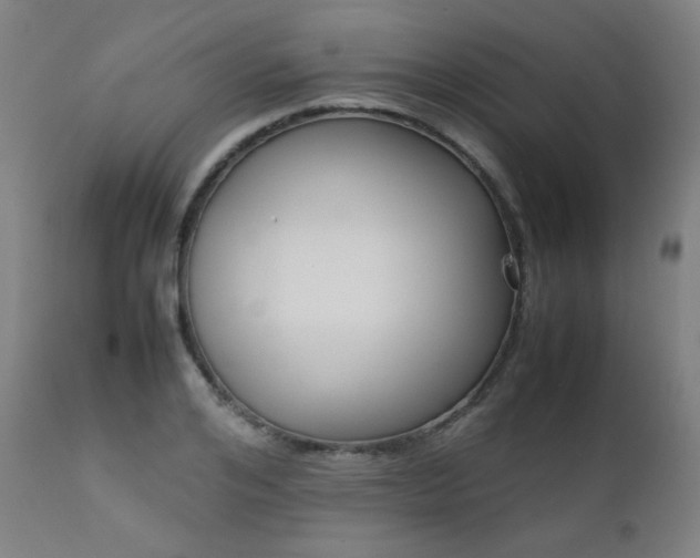 X0000111920984200907271245