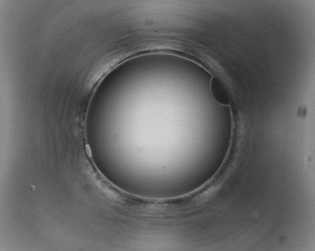 X0000111920985200907271244