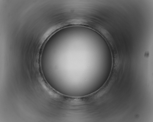 X0000111920986200907271244