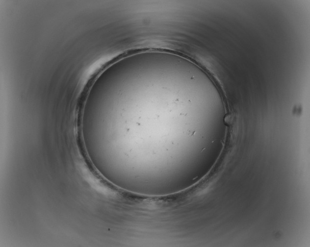 X0000111920987200907271244