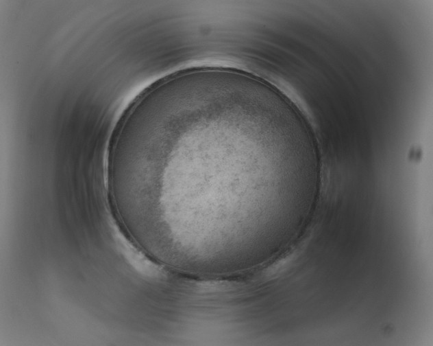 X0000111920988200907271244
