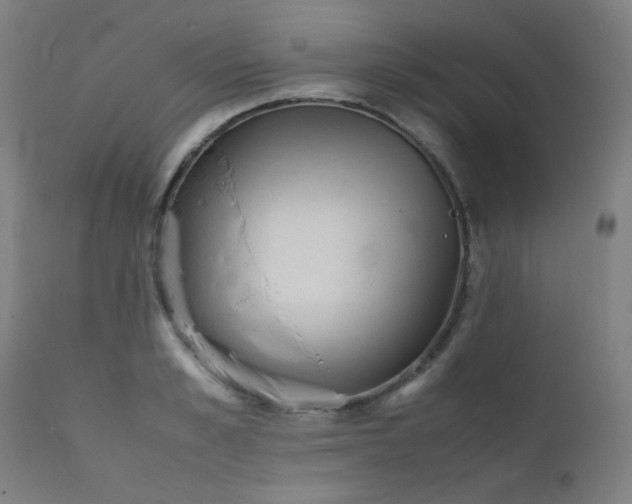 X0000111920989200907271244