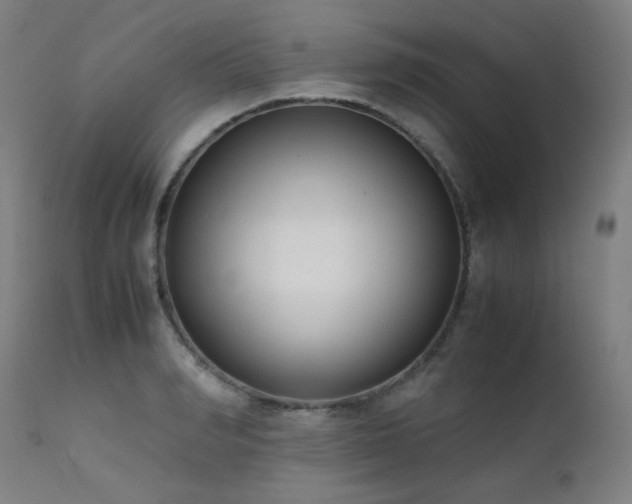 X0000111920990200907271244