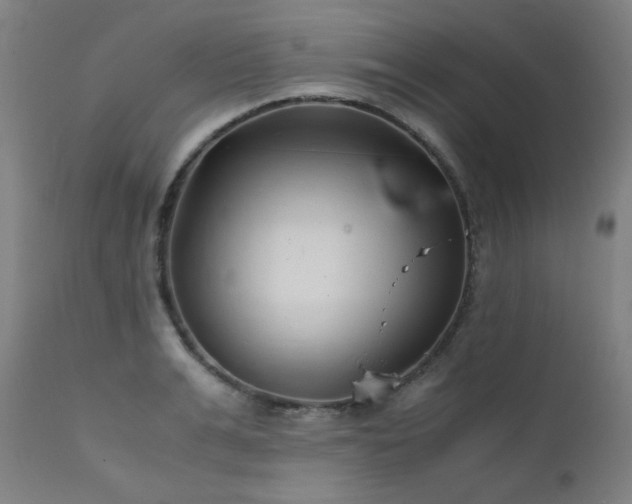 X0000111920991200907271244