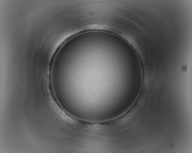 X0000111920992200907271244
