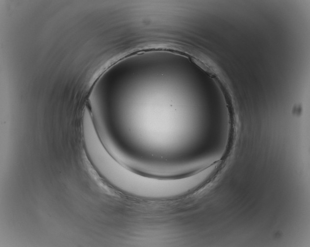 X0000111920993200907271244