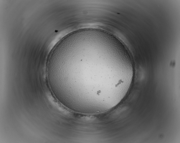 X0000111920994200907271244