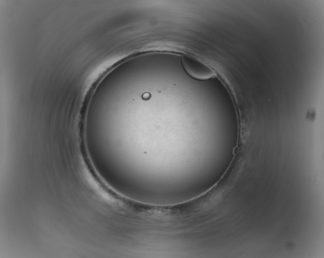 X0000111920995200907271244