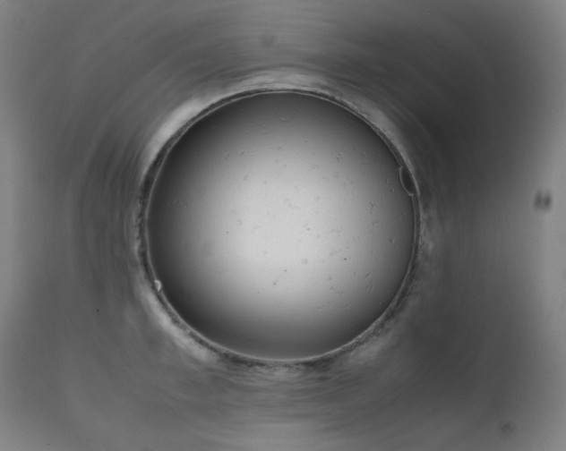 X0000111920997200907271244