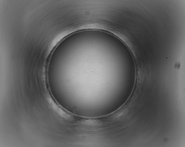 X0000111920998200907271244