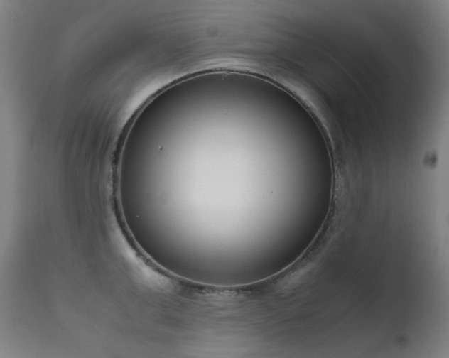X0000111920999200907271244