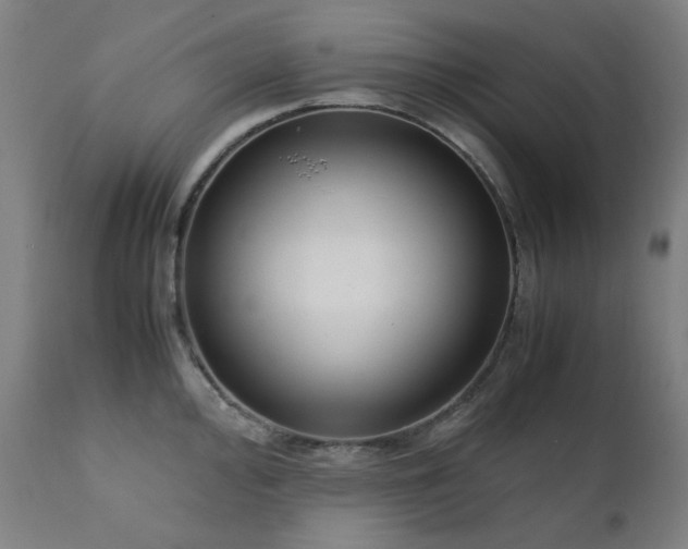 X0000111921000200907271244