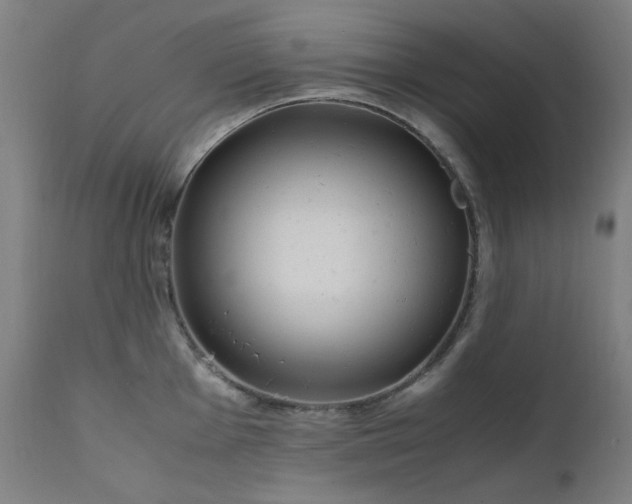 X0000111921001200907271244