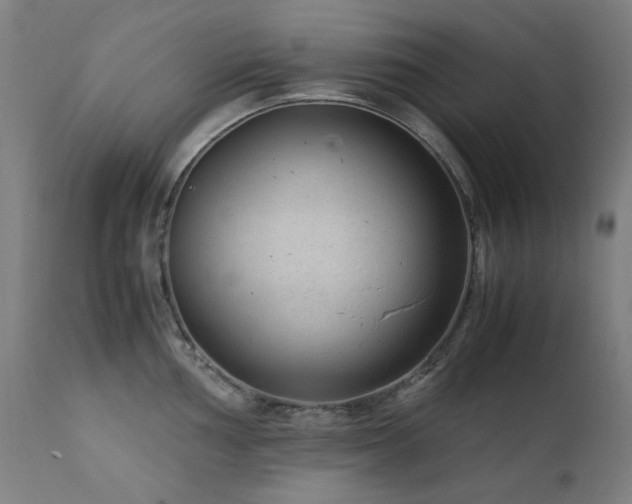 X0000111921002200907271244