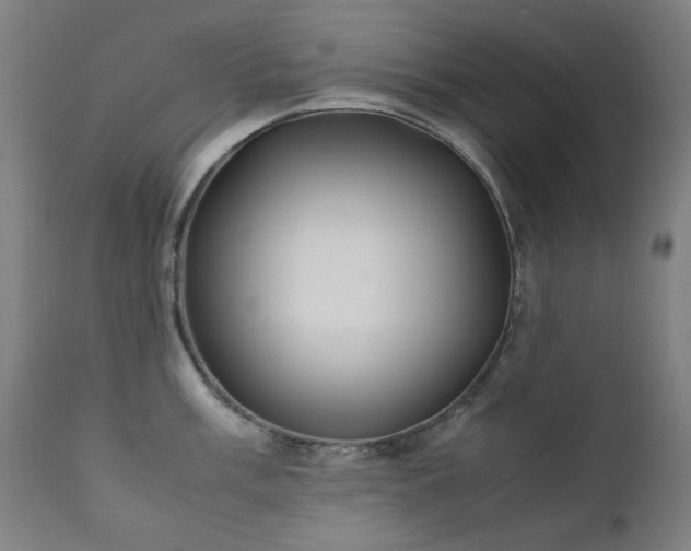 X0000111921003200907271244