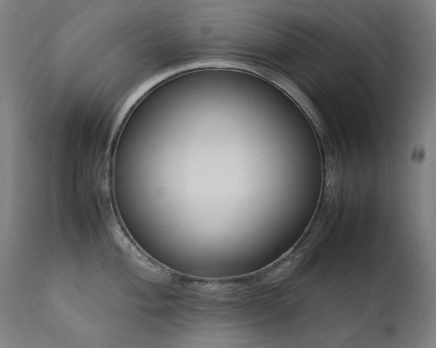 X0000111921004200907271244