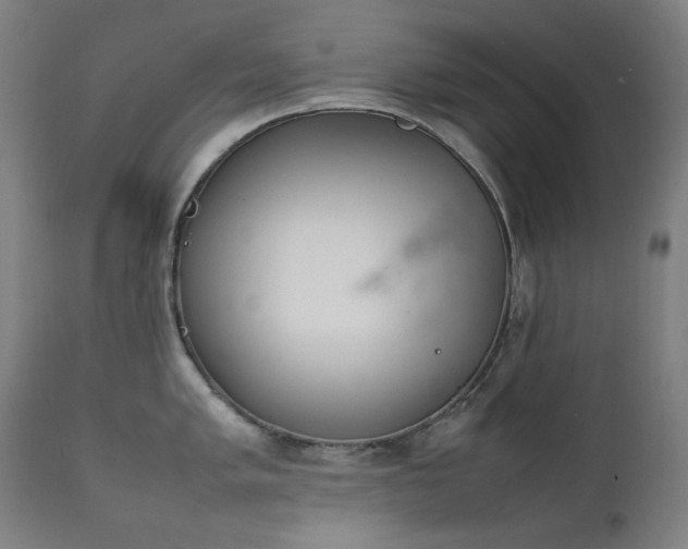 X0000111921005200907271244