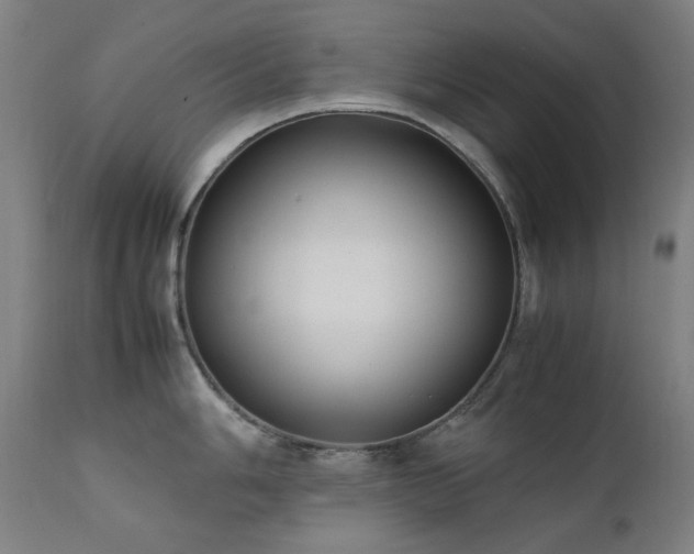 X0000111921006200907271244