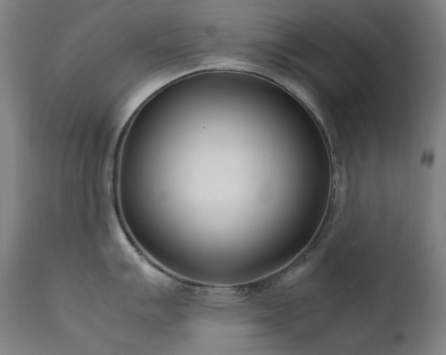 X0000111921007200907271244