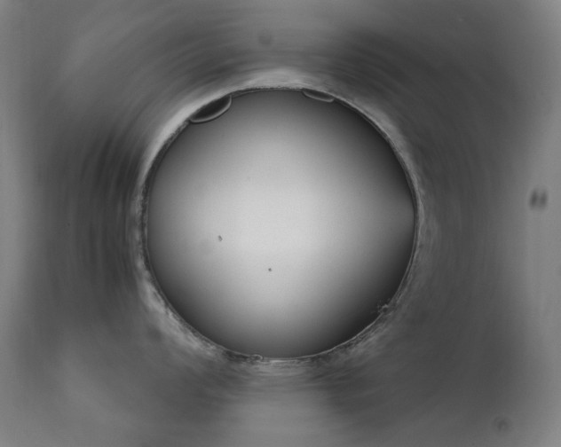 X0000111921008200907271244