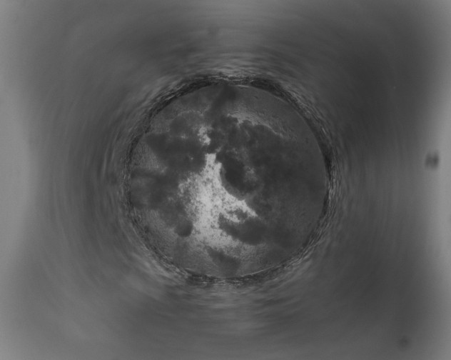 X0000111921009200907271243
