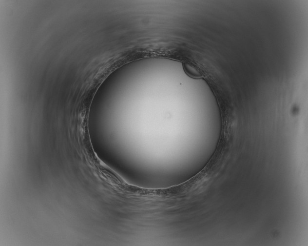 X0000111921010200907271243