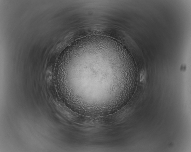 X0000111921011200907271244