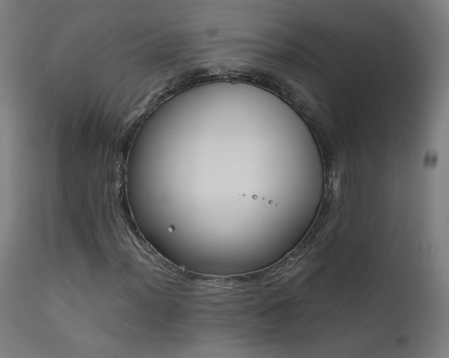 X0000111921012200907271244