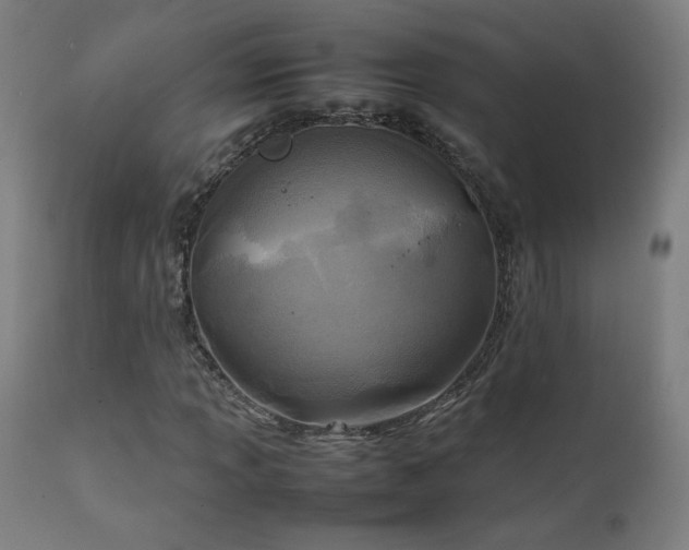 X0000111921013200907271244