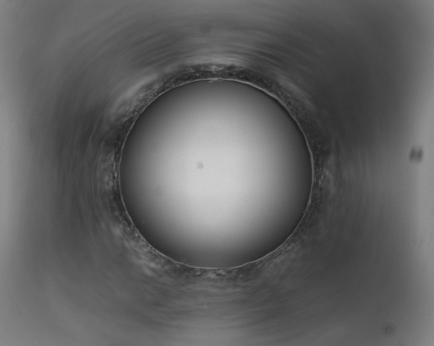 X0000111921014200907271244